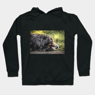 bernese Mountain dogs lover Hoodie